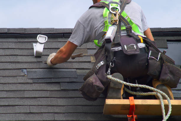 Roof Gutter Cleaning in Alma, GA